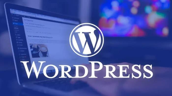 WordPress插件 autoblank自动新窗口打开链接-蛙言资源网